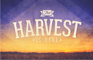 harvest facebook2